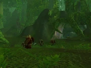 Feral Scar Vale