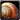 Empty Sea Snail Shell