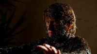 A teen, Dylan Lokensgard, is covered in flies