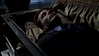 Mulder lies in his coffin.
