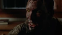 Tooms on the loose