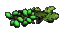 image:lily_of_the_valley.png