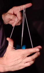 Step 9