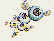 File:Patra.png