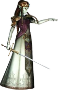 Zelda Possessed