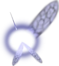 Navi