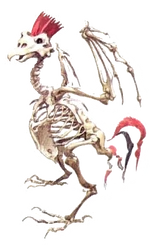 Bone Cucco