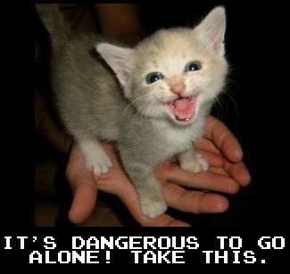 Image:Zelda cat.jpg