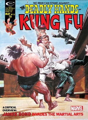 Deadly Hands of Kung Fu 12.jpg