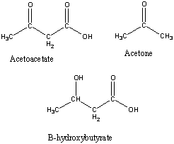 Ketone bodies - Psychology Wiki