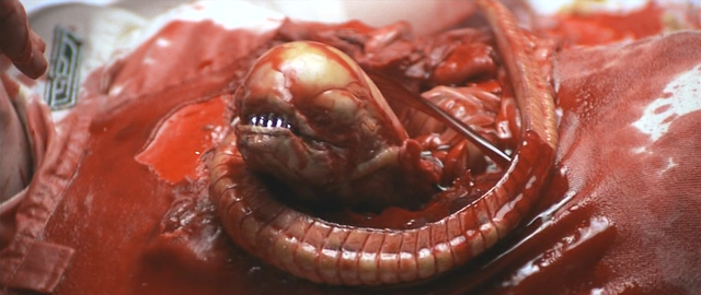 http://images3.wikia.nocookie.net/__cb20080712194454/avp/images/8/80/Alien-The_Chestburster.png