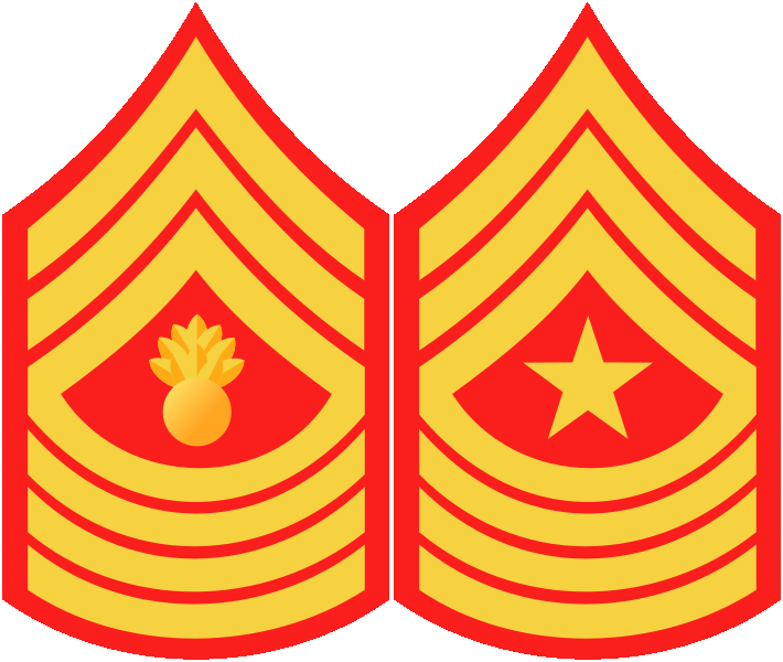 Marine Enlisted Ranks - Military Wiki