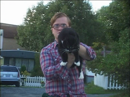 Bubbles' Kitties - Trailer Park Wiki