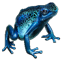 Poison Dart Frog - MafiaWarsWiki - Your Mafia Wars Resource