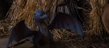 Image - Saphira baby.png - Inheriwiki - Inheritance, Eragon, Eldest ...