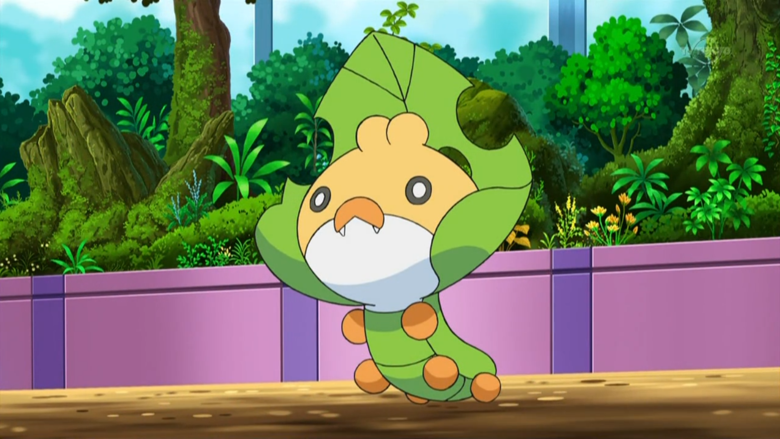 [PokeCommunity.com] The Bug Type Fanclub