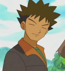 Brock (Pokemon Anime) - Awesome Anime and Manga Wiki