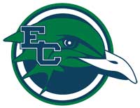 Endicott Gulls - Basketball Wiki