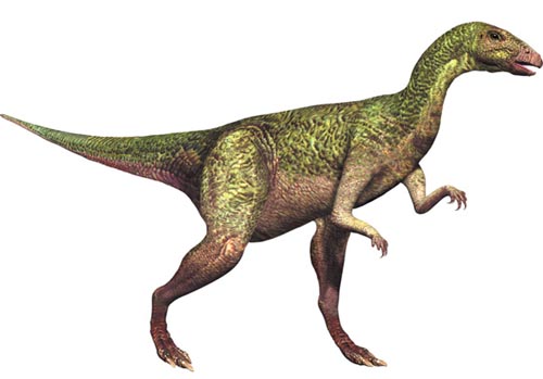 Dryosaurus - Dinopedia - the free dinosaur encyclopedia