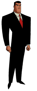 Bruce Wayne - New Batman Adventures Wiki