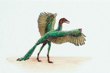 Archaeopteryx - Cool Dino Facts Wiki