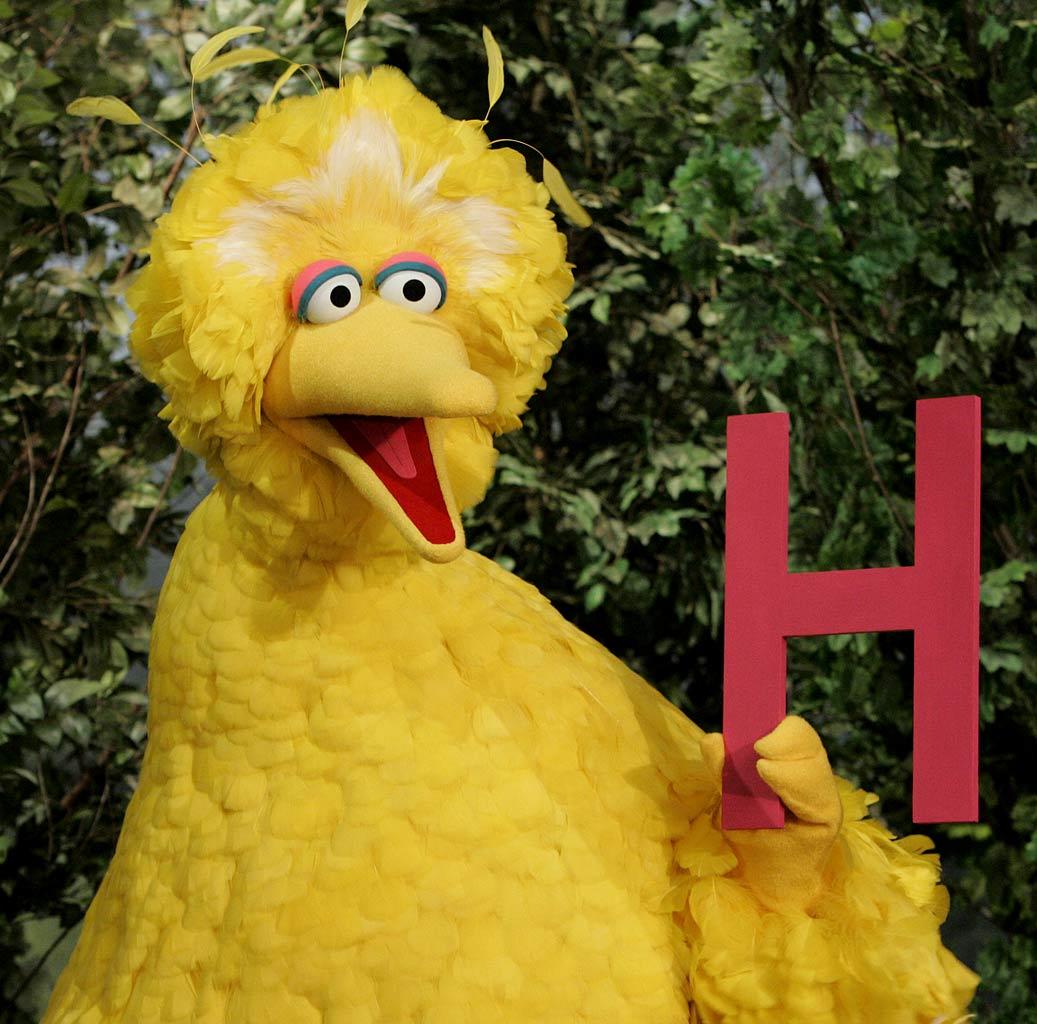 Big Bird Through the Years | Muppets Fanon Wiki | FANDOM powered by Wikia