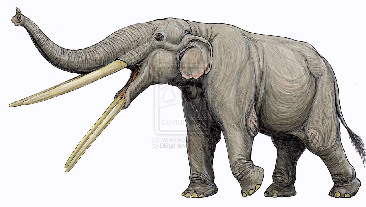 Stegotetrabelodon - Dinopedia - the free dinosaur encyclopedia