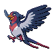 Swellow_DP.png
