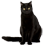 Black_cat_sitting.png