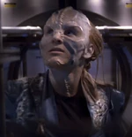 Tarkalean - Humans with Altered Face - Independent