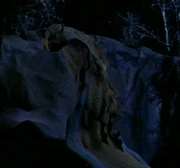 Dakalan Wraith - Non-Humanoid Metamorph - Independent